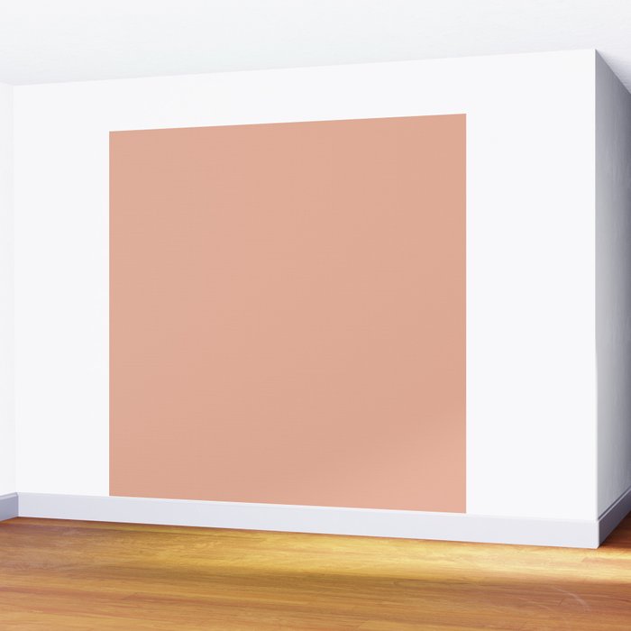 Solid Whipped Peach Wall Mural Gallery Image 2