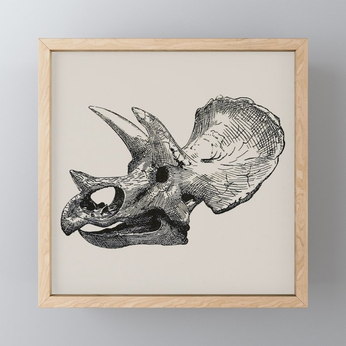 Dinosaur Skeleton Ink Pen Illustration Triceratops Mini Art Print Gallery Image 1