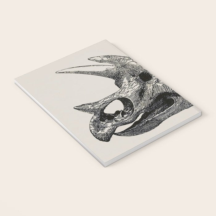 Dinosaur Skeleton Ink Pen Illustration Triceratops Notebook Gallery Image 3