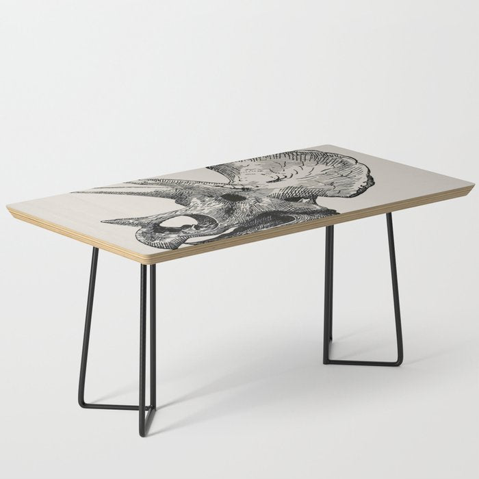 Dinosaur Skeleton Ink Pen Illustration Triceratops Coffee Table Gallery Image 1