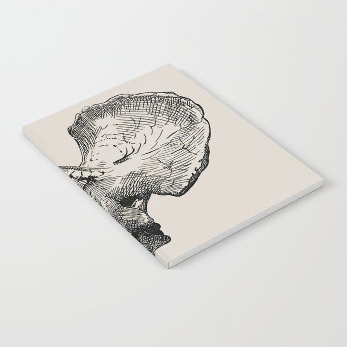 Dinosaur Skeleton Ink Pen Illustration Triceratops Notebook Gallery Image 2