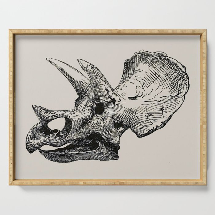 Dinosaur Skeleton Ink Pen Illustration Triceratops Serving Tray Gallery Image 1