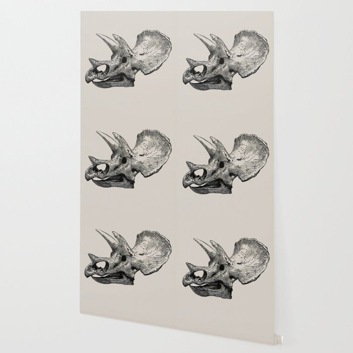 Dinosaur Skeleton Ink Pen Illustration Triceratops Wallpaper Gallery Image 2