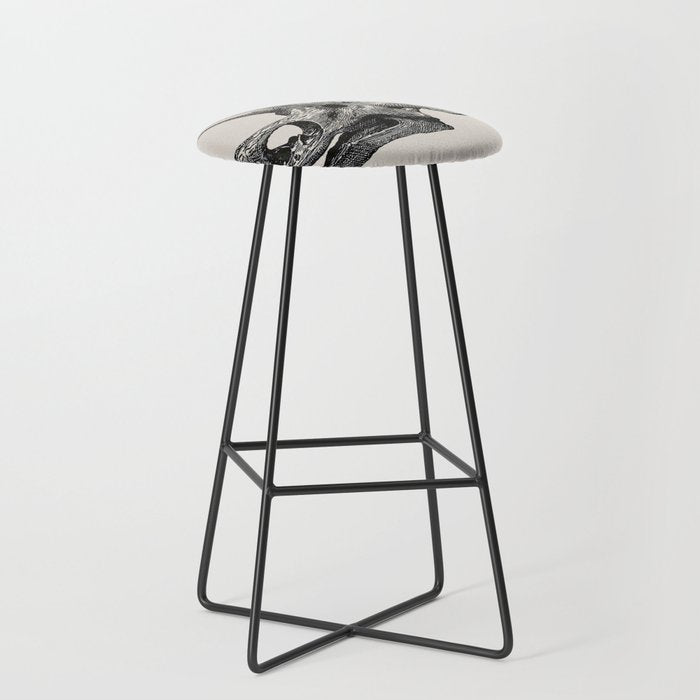 Dinosaur Skeleton Ink Pen Illustration Triceratops Stool Gallery Image 1
