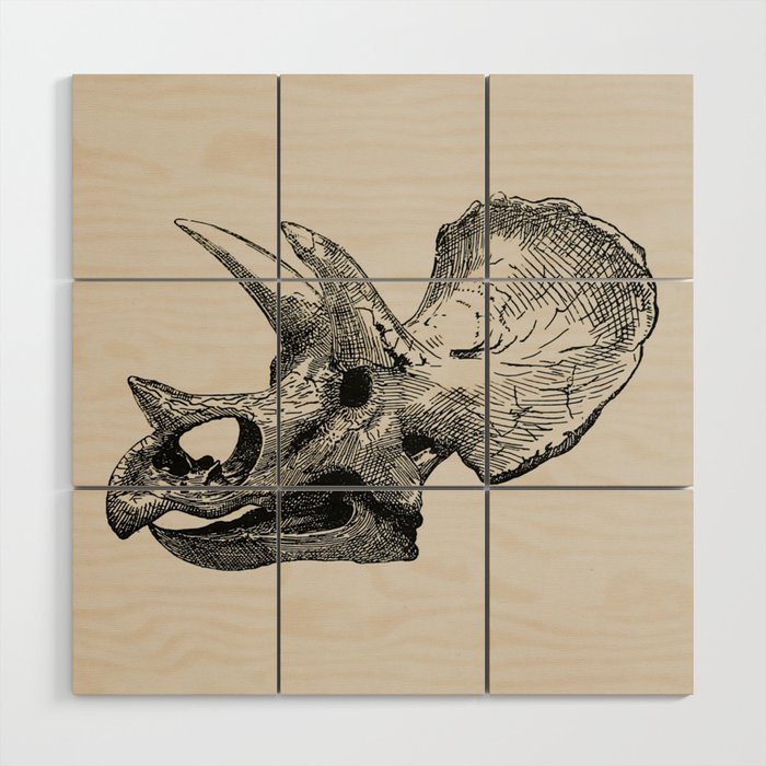 Dinosaur Skeleton Ink Pen Illustration Triceratops Wood Wall Art Gallery Image 1