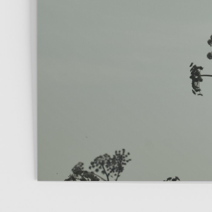 Presence x wildflower moody botanical photograph Poster Gallery Image 3