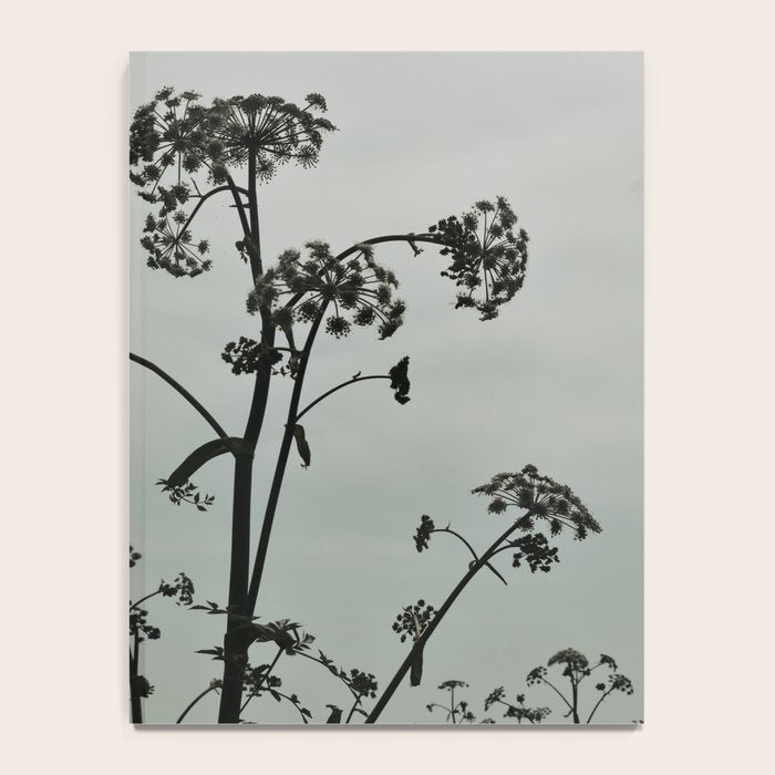 Presence x wildflower moody botanical photograph Notebook Gallery Image 4