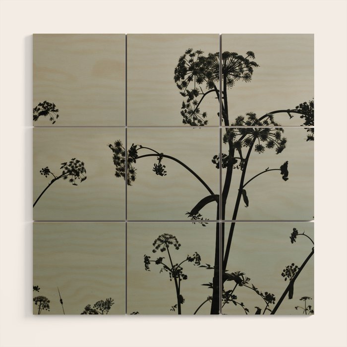 Presence x wildflower moody botanical photograph Wood Wall Art Gallery Image 1