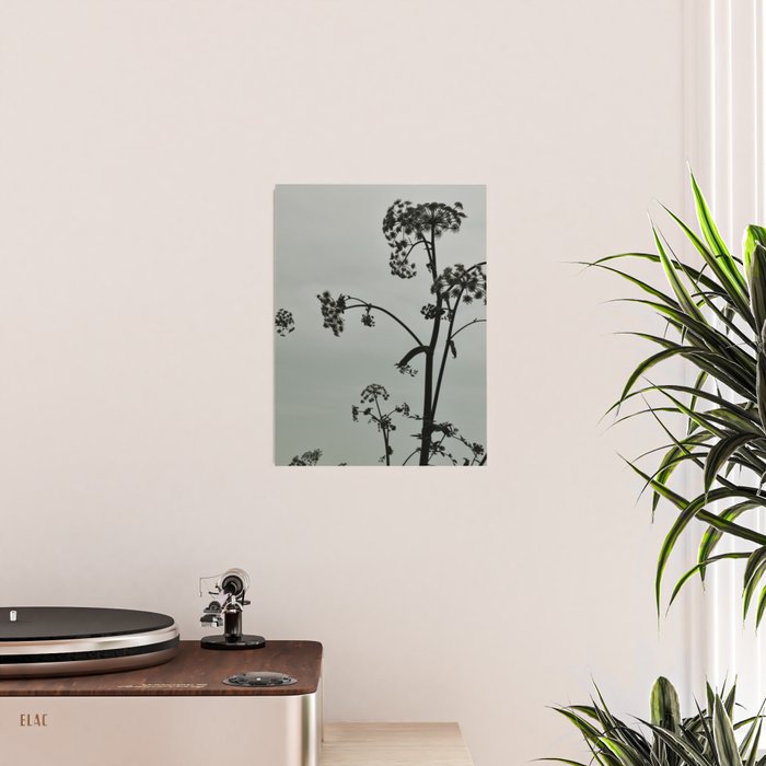Presence x wildflower moody botanical photograph Poster Gallery Image 2