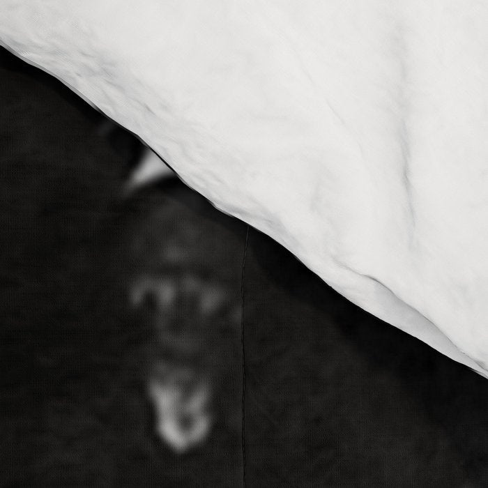 We Want Beer Prohibition Comforter Gallery Image 4