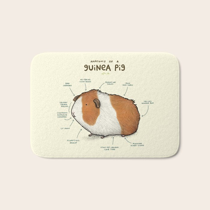Anatomy of a Guinea Pig Bath Mat Gallery Image 1