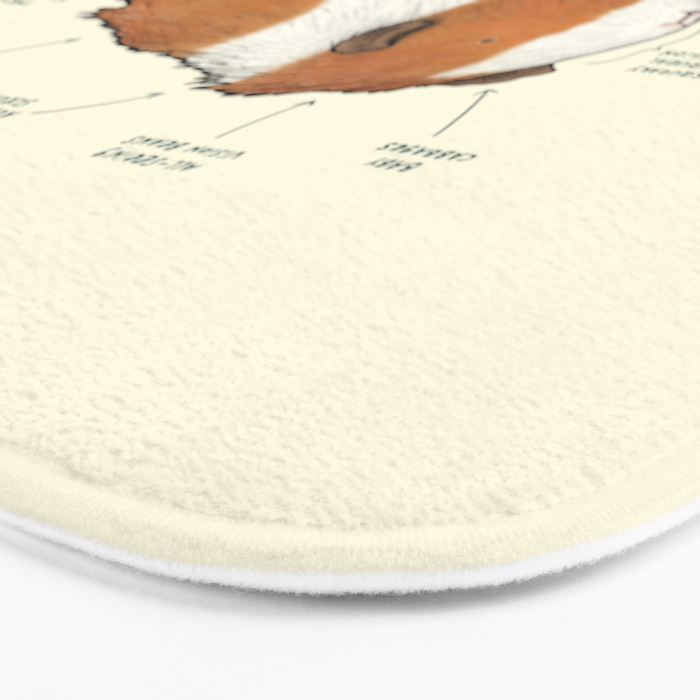 Anatomy of a Guinea Pig Bath Mat Gallery Image 3