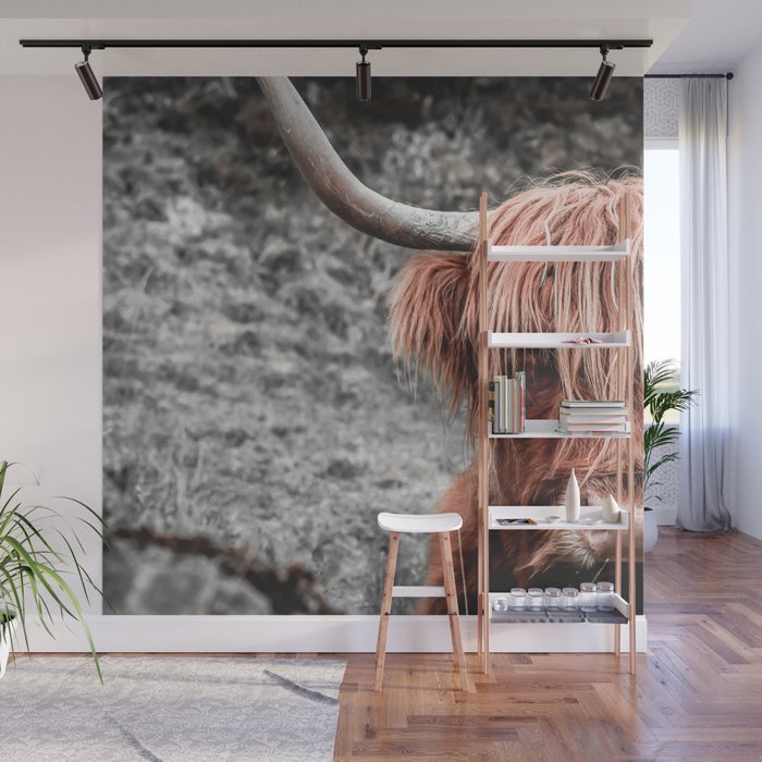 Highland Cow Wall Mural Gallery Image 1