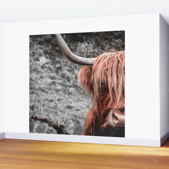 Highland Cow Wall Mural Gallery Image 2
