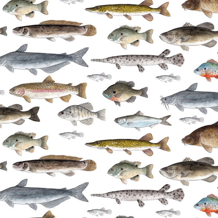 A Few Freshwater Fish Coffee Mug Gallery Image 2