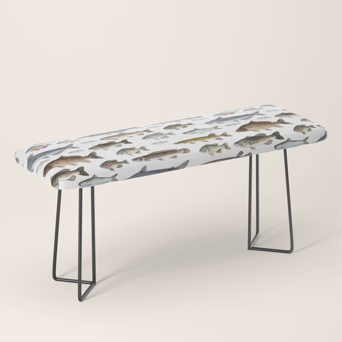 A Few Freshwater Fish Bench Gallery Image 1