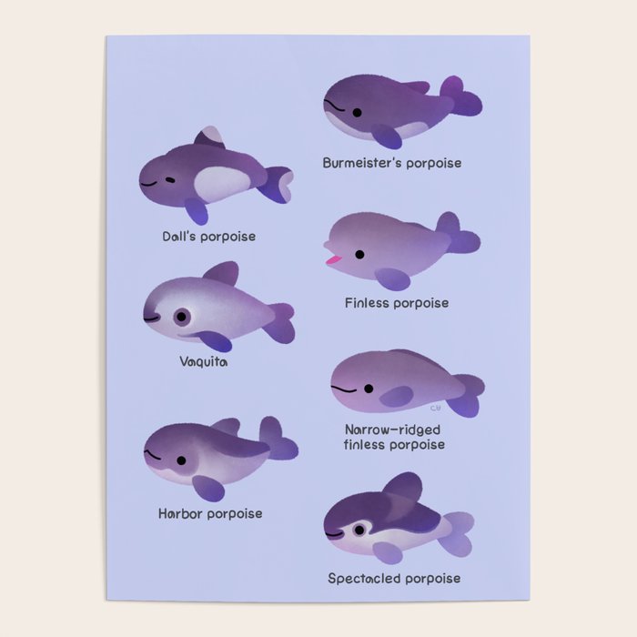 Porpoise Day Poster Gallery Image 4