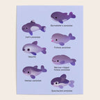 Porpoise Day Poster Gallery Image 4