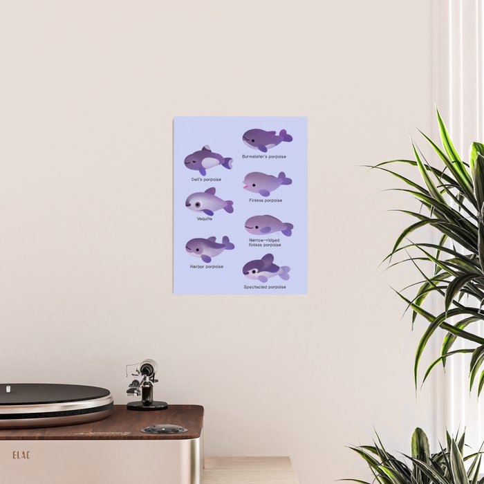 Porpoise Day Poster Gallery Image 2