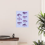 Porpoise Day Poster Gallery Image 2