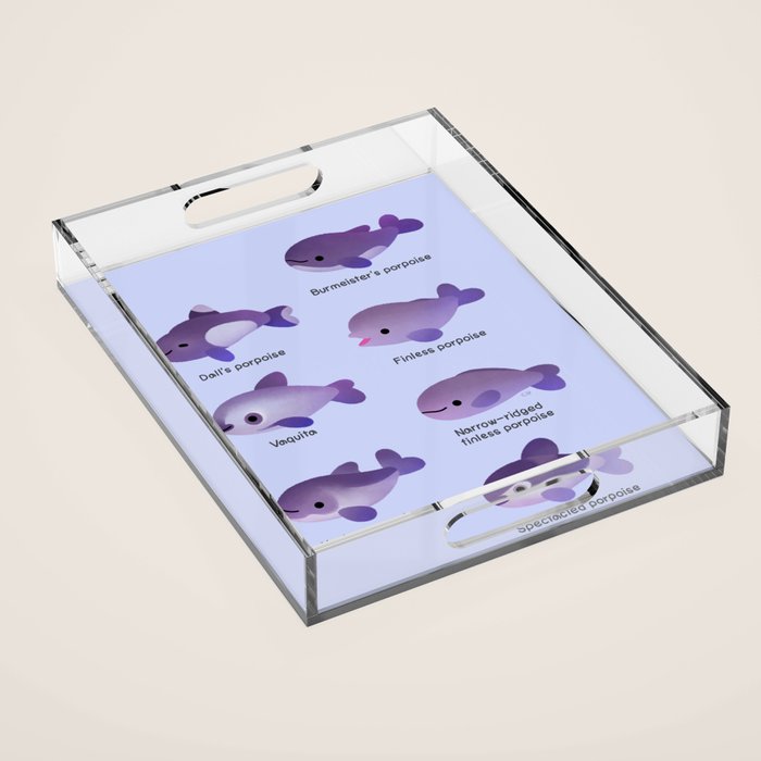 Porpoise Day Acrylic Tray Gallery Image 1
