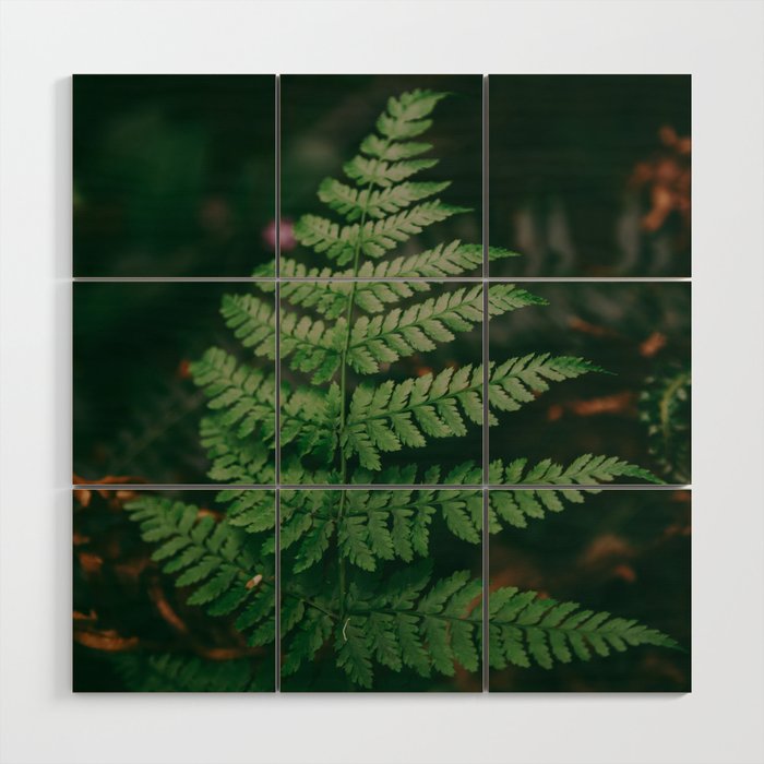 One Fern Wood Wall Art Gallery Image 1