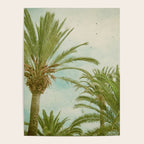 Palm Trees Poster Gallery Image 4
