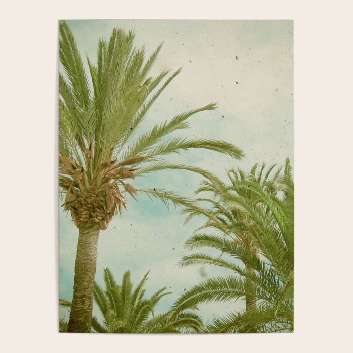 Palm Trees Poster Gallery Image 4
