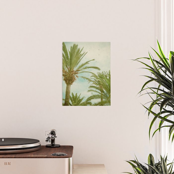 Palm Trees Poster Gallery Image 2