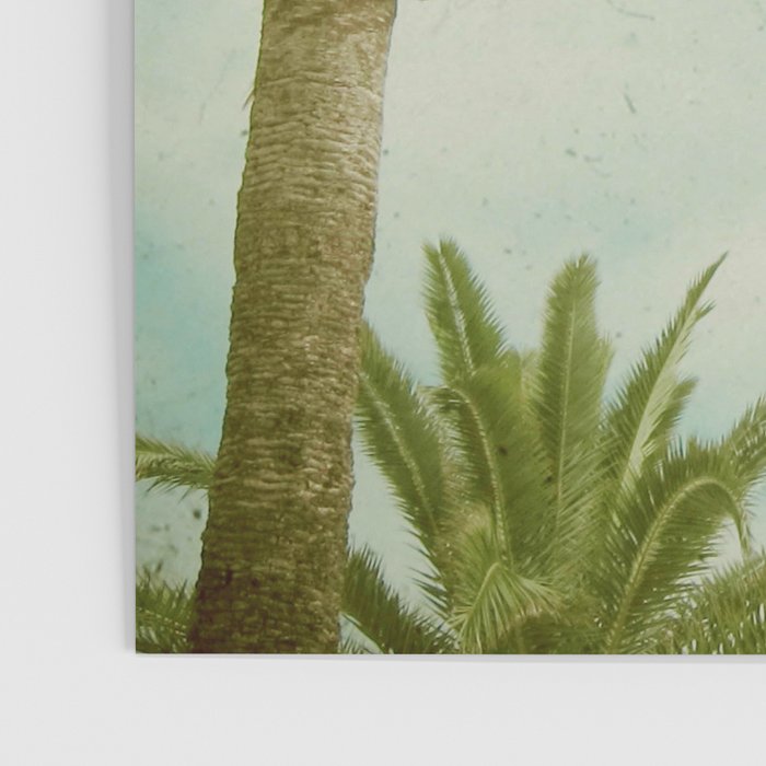 Palm Trees Poster Gallery Image 3