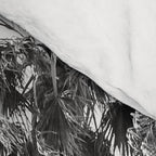 Four Palm Trees Comforter Gallery Image 4