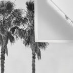 Four Palm Trees Wall Tapestry Gallery Image 3