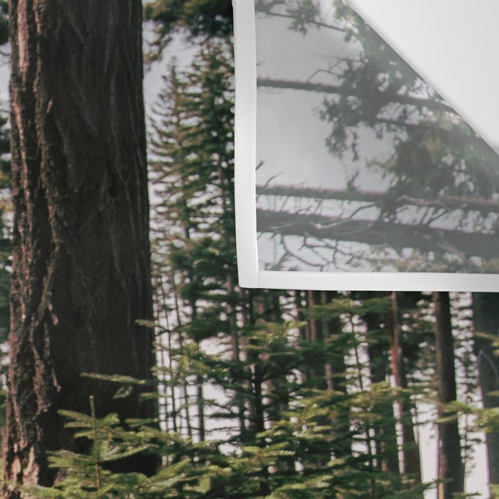 Through the Woods II Wall Tapestry Gallery Image 3