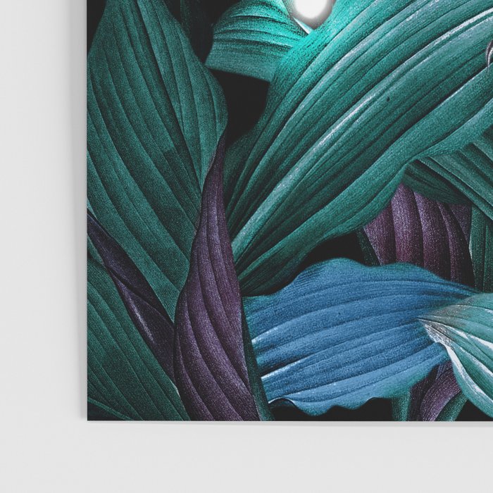 Tropical Magic Forest Poster Gallery Image 3