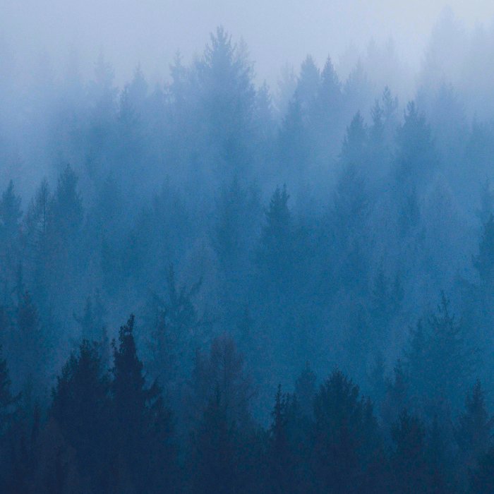 Watercolor Effect Colorful Blue Ombre Misty Pine Forest Coffee Mug Gallery Image 2