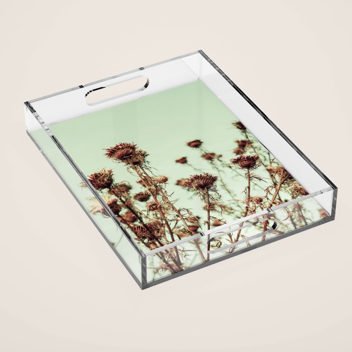 Thistle Acrylic Tray Gallery Image 1