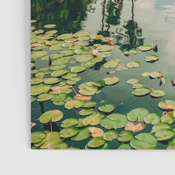 Balboa Park Poster Gallery Image 3