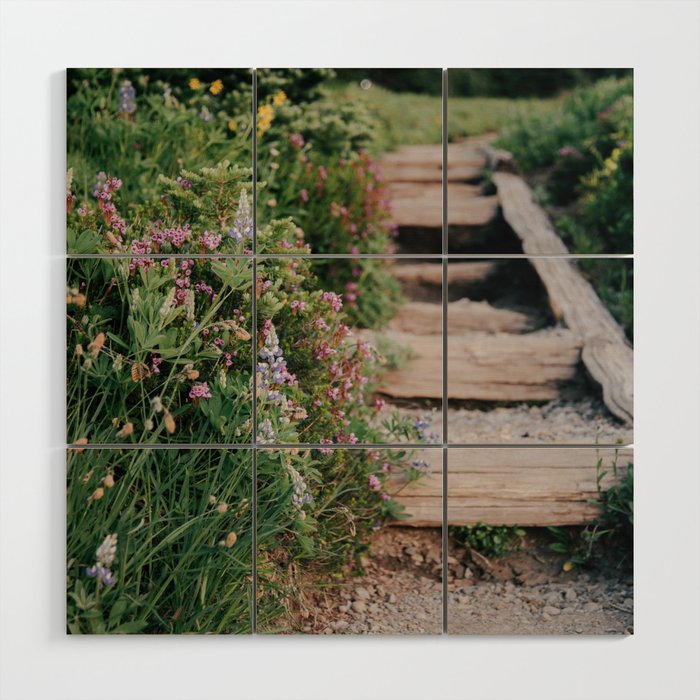 Wildflower Steps Wood Wall Art Gallery Image 1
