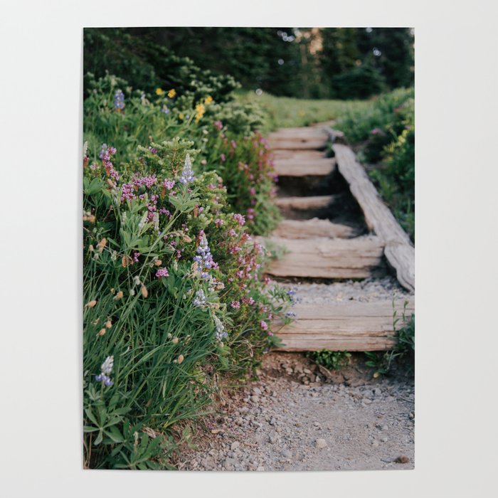 Wildflower Steps Poster Gallery Image 1