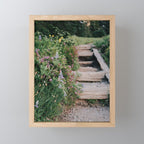 Wildflower Steps Mini Art Print Gallery Image 1