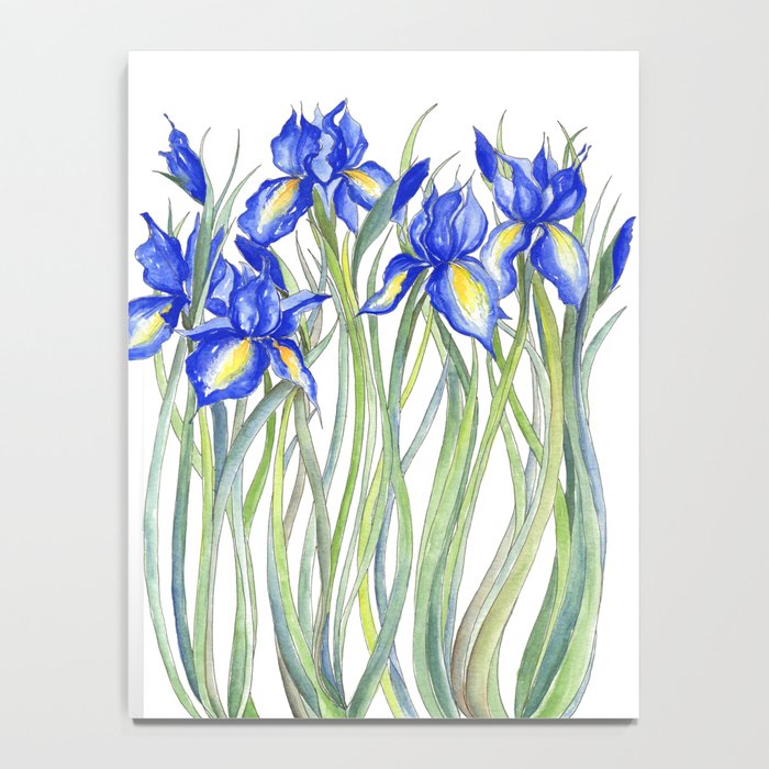 Blue Iris, Illustration Notebook Gallery Image 4
