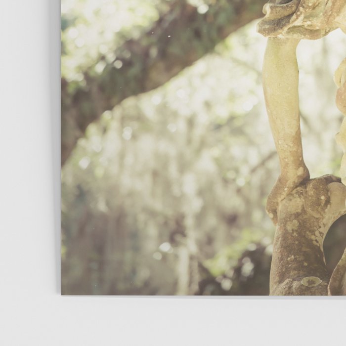 Louisiana Spanish Moss Poster Gallery Image 3