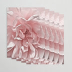 Pink Blush Rose Wrapping Paper Gallery Image 3
