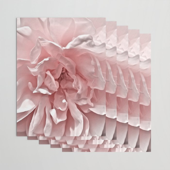 Pink Blush Rose Wrapping Paper Gallery Image 3