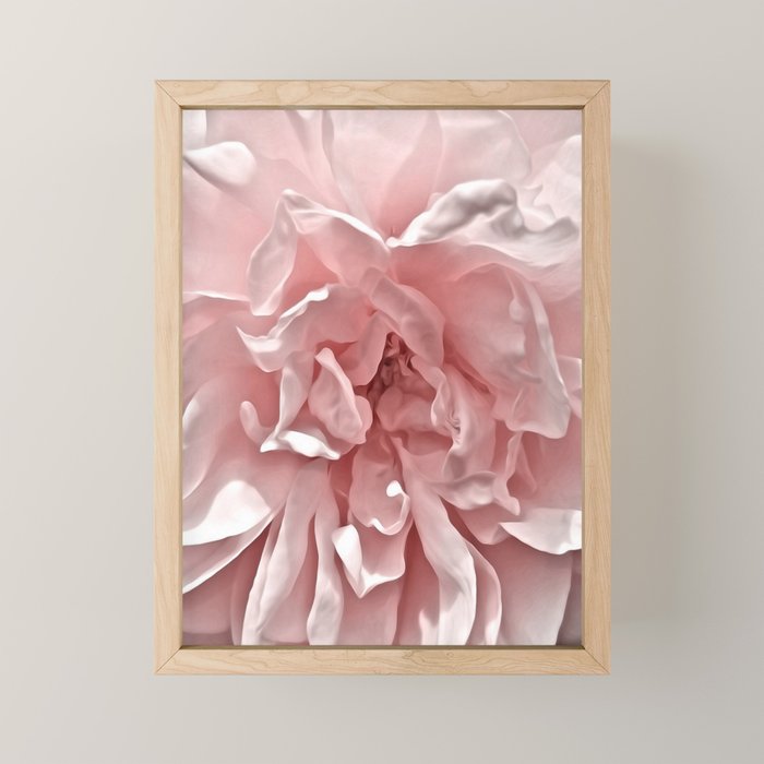 Pink Blush Rose Mini Art Print Gallery Image 1
