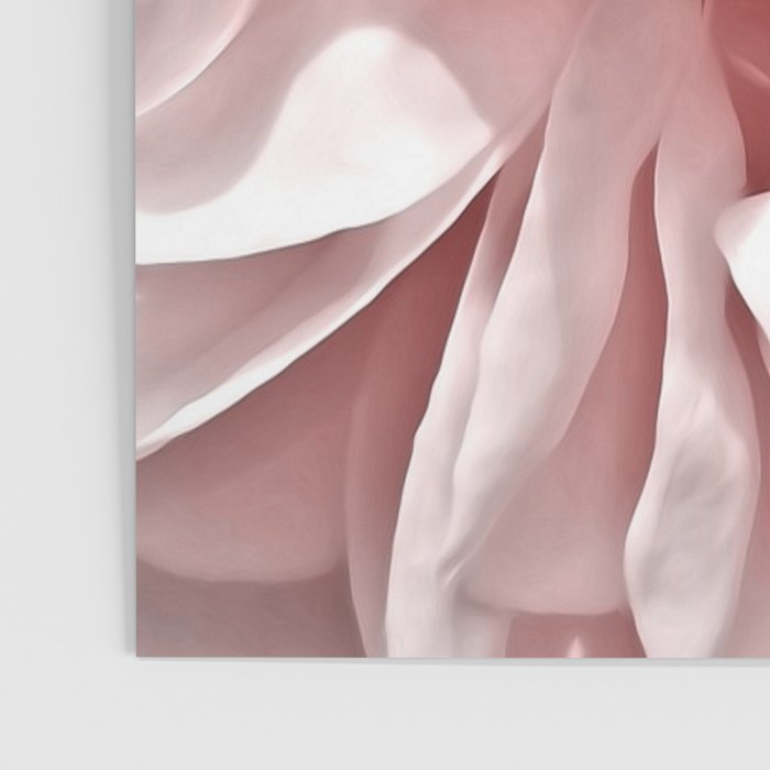 Pink Blush Rose Poster Gallery Image 3