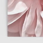 Pink Blush Rose Poster Gallery Image 3