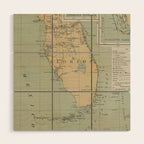Vintage Lighthouse Map of Florida (1898) Wood Wall Art Gallery Image 1