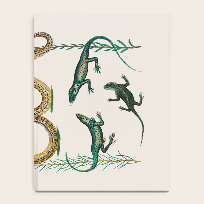 Albertus Seba Snakes And Lizards Teal Notebook Gallery Image 4