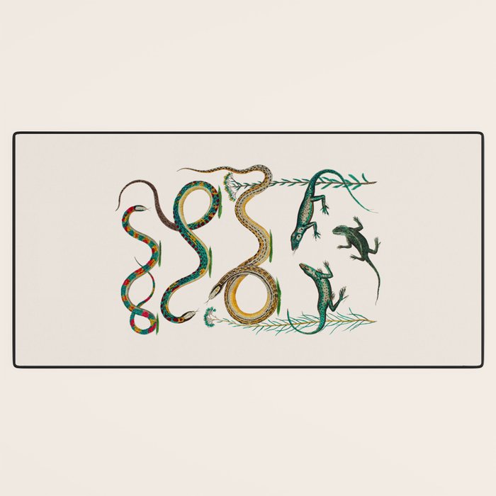 Albertus Seba Snakes And Lizards Teal Desk Mat Gallery Image 3